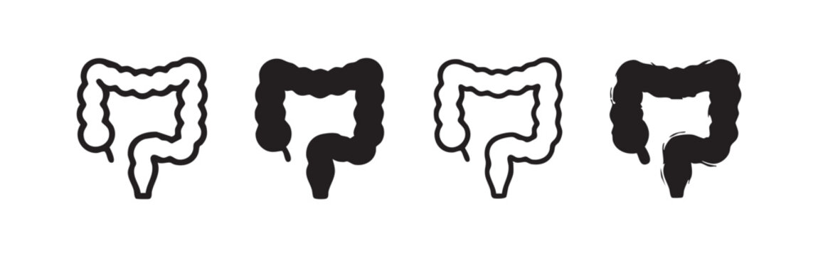 Human Large Intestine Icon Set - Colon Anatomy Variations in Minimalist and Sketch Styles
