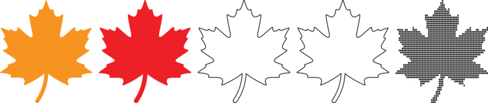 Collection of maple leaves in different styles and colors on transparent background