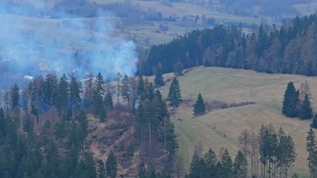 Drone view of localized forest fire near wooden stand with smoke and flames limited by damp cloudy weather