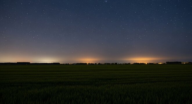 Night sky over green field