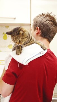 Man babysitting cute British cat while cooking slow motion