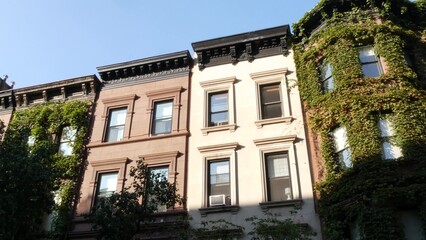 Fototapeta premium New York City townhouse buildings, brownstone row houses in Manhattan or Brooklyn, United States of America. Classic buildings on residential district street. Real estate property. Rowhouse townhome.