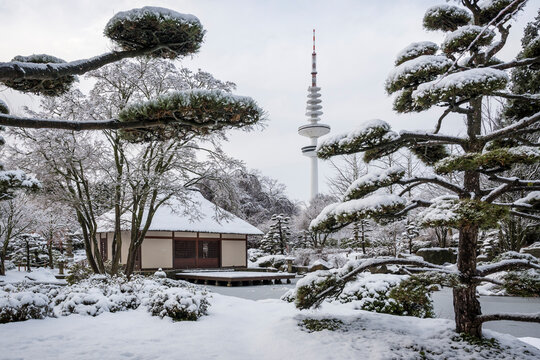 Japanese tea house in snowy Planten un Blomen park Hamburg