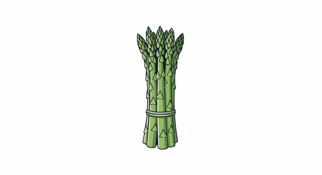 A bunch of green asparagus spears bound together with a string