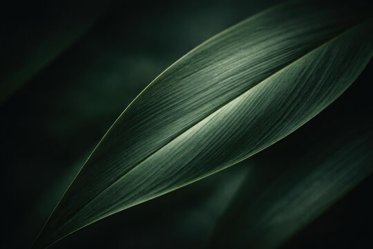Gentle leaf patterns with water accents , generated, AI