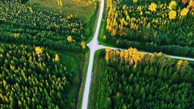 Aerial view of a road intersection cutting through a dense forest