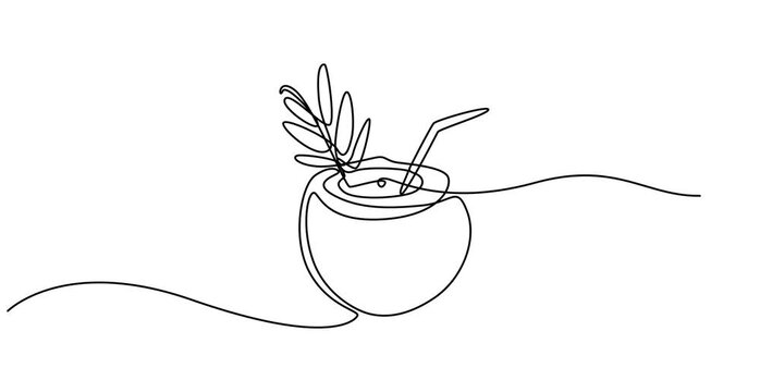Animated self drawing of continuous line draw of whole and sliced healthy sweet organic coconut for orchard logo identity. Fresh fruitage concept for fruit garden icon. 4k one line animation
