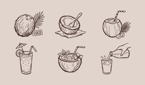 simple rough sketch Coconut drink illustrations for summer beverages
