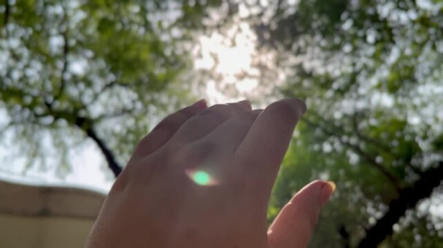 Close-up female hand in sunshine outdoors on green trees backdrop. Nature concept.	