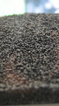 Black plastic granules on extruder for making plastics on extrusion manufactory