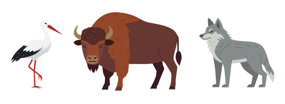 Belarus Native Wildlife Flat Vector Illustration