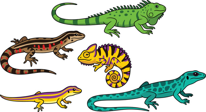 Colorful Cartoon Reptile Collection with Iguana Chameleon Gecko and Lizard Species on White Isolated Background