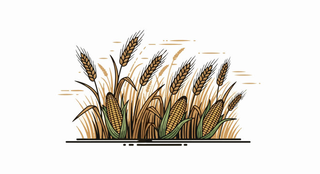 Golden wheat stalks and ripe corn cobs in a stylized field illustration