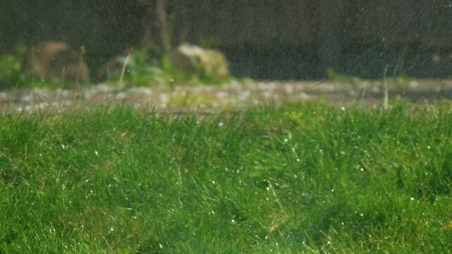 Fine water spray falling over green lawn surface, smart irrigation mist watering grass under sunlight. Soft droplets sparkling with shallow depth and natural garden texture. Refreshing moisture