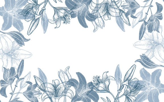 Blue lily flowers frame vector illustration. Decorative botanical border with engraved vintage floral design. Elegant wedding invitation template outline drawing. Monochrome greeting card background.