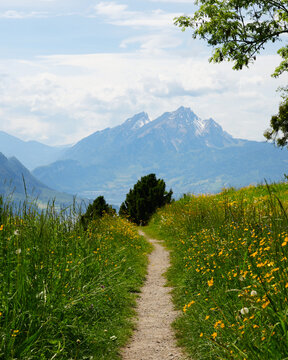 Scenic hiking route from Rigi Kaltbad to Weggis featuring a dirt path surrounded by wildflowers and mountains under a partly cloudy sky in Switzerland