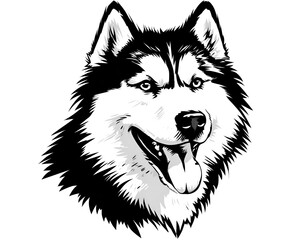 Fototapeta premium Detailed illustration of a Siberian Husky head with its tongue out, in black and white, isolated against a plain background for design.