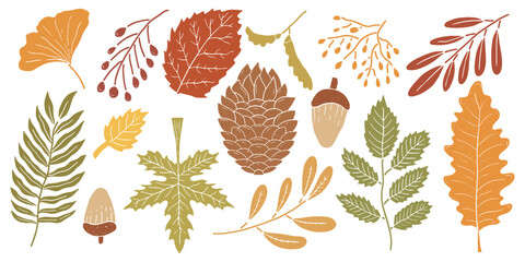 Hand drawn autumn leaves and forest seeds botanical collection. Set of rustic fall foliage silhouettes with pinecone and acorn © Wahib