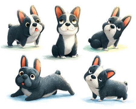 A charming collection of playful Boston Terrier cartoon illustrations showcasing various poses and adorable expressions on a white background.
