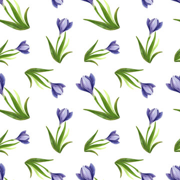 Purple crocuses with green leaves, seamless watercolor floral pattern. Fresh blue mountain flowers, hand drawn. Vibrant bouquet of plants for packaging, cosmetic fabric, and cards.