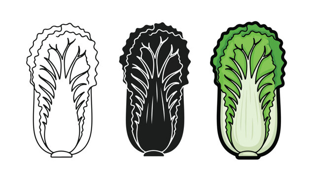 Fresh napa cabbage vegetable icon vector set - logo icons vector set. Blue, Black and white icons