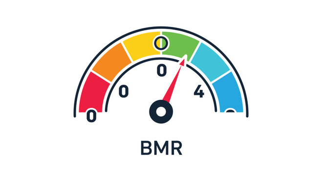 Colorful Basal Metabolic Rate meter with a needle pointing to a high level helps users monitor their health and fitness goals.