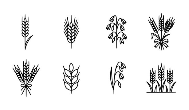 Minimal wheat and grain line icon set with cereal plants organic farm vector collection