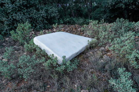 Abandoned mattress polluting environment in el carrascal forest