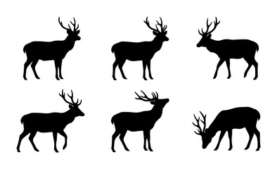Fototapeta premium vector deer set on white background