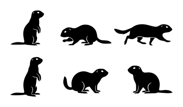 Groundhogs in various poses as black and white vector icons on a transparent background