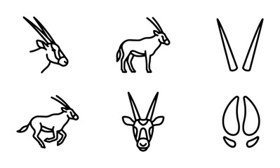 six-line-art antelope and rhino silhouettes on white background © Mahmudul