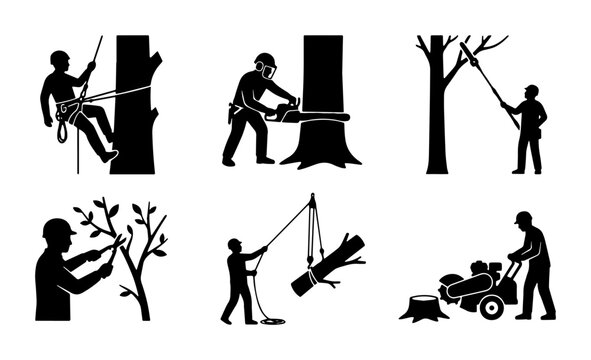 vector forest management silhouettes