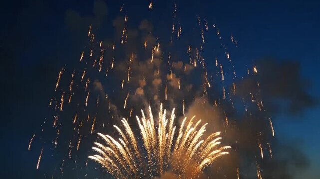 Fireworks exploding in night sky highlighting environmental conservation and serenity