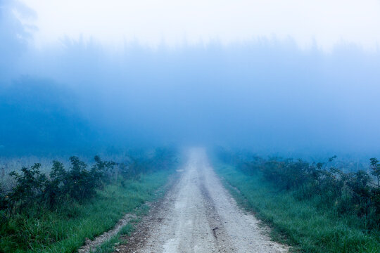 early morning fog, Swellendam, South Africa
