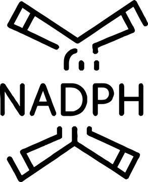 NADPH Chemical Structure Icon Vector Illustration