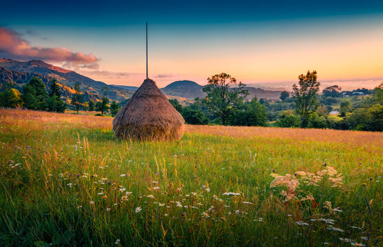 Adorable morning view of haystack on a green meadow in Rogojel village. Amazing summer sunrise in Cluj County, Romania, Europe. Beauty of countryside concept background.