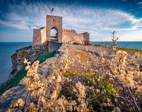 Bright summer view of Kaliakra fortress with blooming branches. Colorful landscape of Bulgaria, Europe. Splendid spring seascape of Black sea. Traveling concept background.