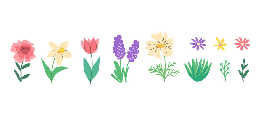 Cartoon spring flowers set. Minimalist spring floral elements of daisy, tulip, peones, daffodil. Floral vector set.