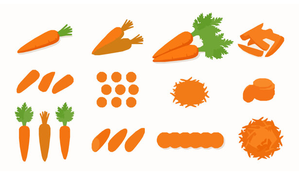 Carrot vector set with whole cut sliced and shredded fresh vegetables in clean flat style