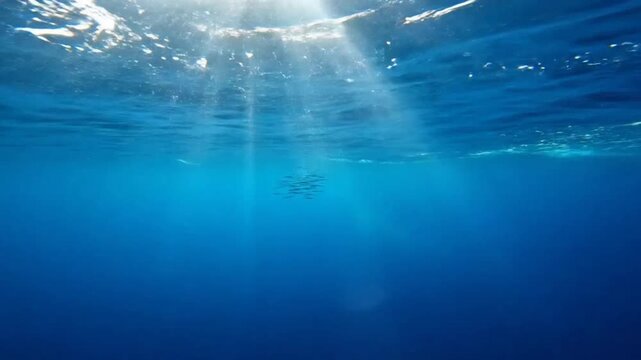 Underwater scene with sunlight penetration emphasizing natural beauty and pristine environments