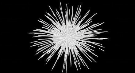 Fototapeta premium A white, starburst-shaped with radiating lines extending from a central point against a solid black background