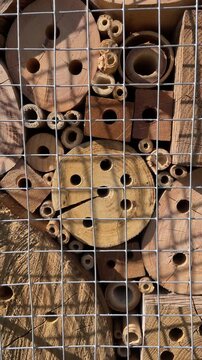 Solitary wild osmia bee flying around a wooden insect hotel, searching for a nesting tube in the hollow logs on a sunny day to help with pollination and biodiversity in the garden