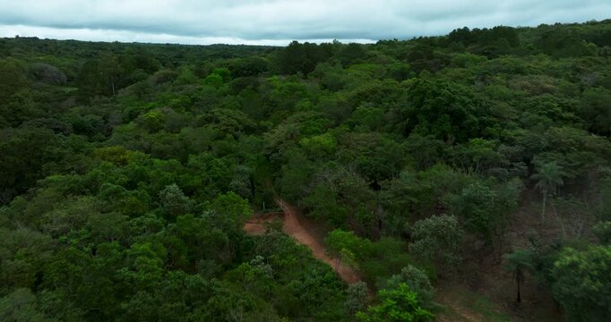 Dense green forest in Paraguay with a small rural house surrounded by trees. Natural landscape meets simple countryside living under cloudy sky and calm, peaceful atmosphere.