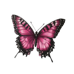 butterfly isolated on white © Yudi