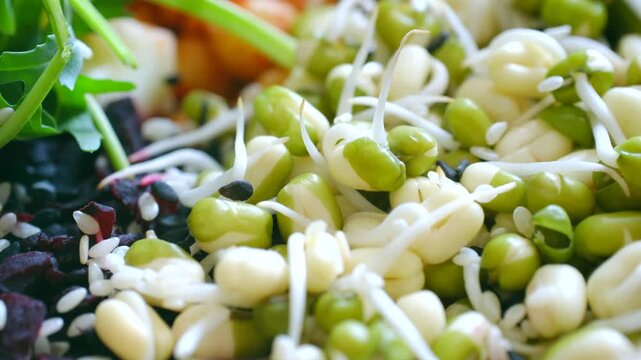 Vibrant and nutritious salad bowl featuring fresh mung bean sprouts, chickpeas, arugula, rice, and beets, representing a wholesome and healthy meal for balanced plant based diet. Healthy food concept