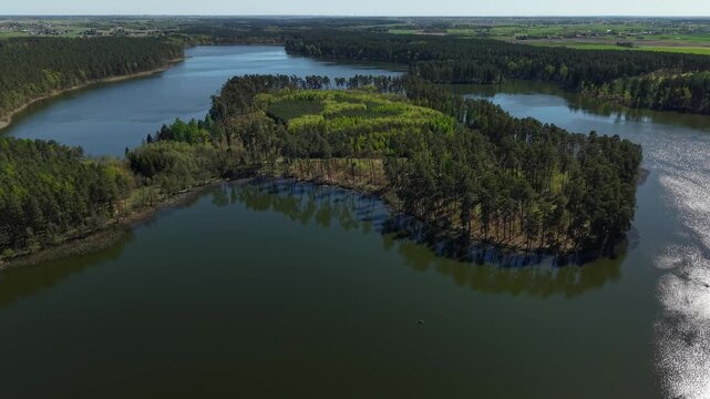 Peninsula Reforestation &ndash; Forward Aerial Flight Over Regrowing Forest Core