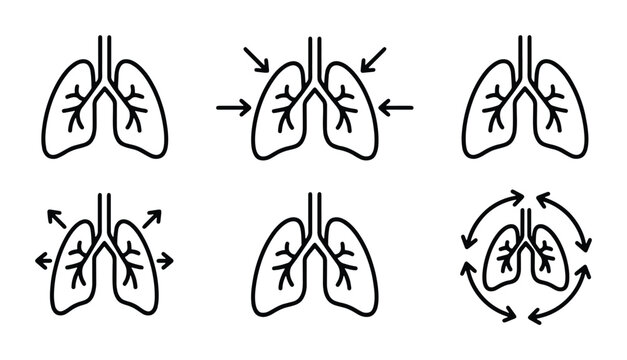 vector set of lung illustrations showing breathing process and airflow in lungs