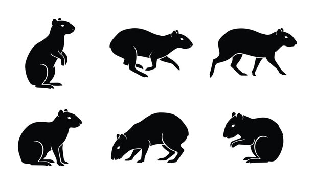 six black and white rat silhouettes on transparent background