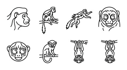 monkey silhouettes and characters in various poses © AminulHaque
