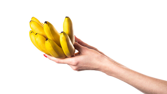Baby banana or small banana in hands isolated on white background. Small bananas.